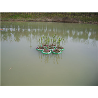 北京种植水上浮床★北京水上种植浮床施工