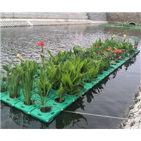 武汉水生植物浮岛
