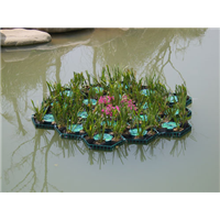 北京种植水上浮床☢北京水上种植浮床
