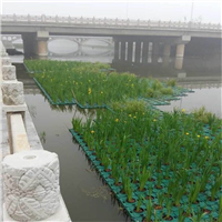 水生种植植物浮床