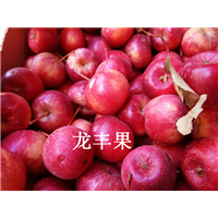 吉林龙丰果价格&辽源龙丰果价格 