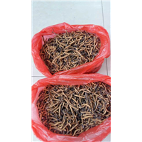 马鞍山礼品回收