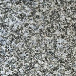墨绿黑|钟山青荔枝面 