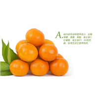 湖北蜜桔|湖北蜜桔批发