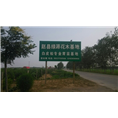 河北白皮松-白皮松 