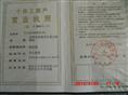 营业执照-辽宁紫叶稠李|紫叶稠李小苗