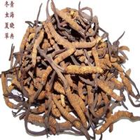 杭州冬虫夏草回收