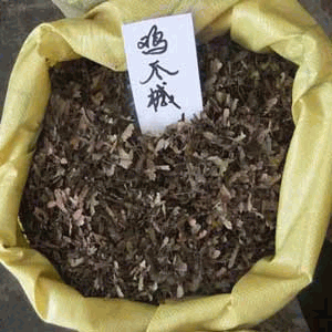 鸡爪槭种子出售价格 