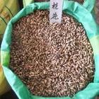 供应江西桂花种子 