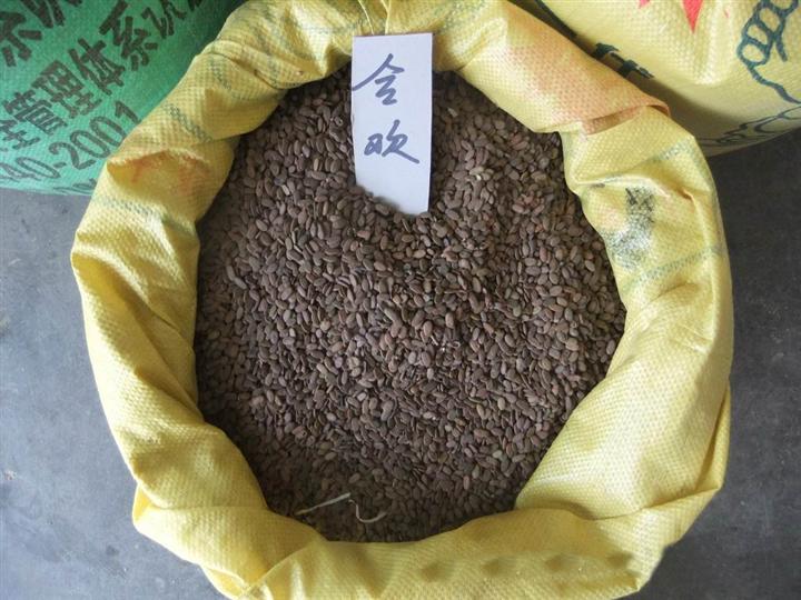 供应江西合欢种子 