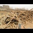 成都建筑木材旧木方|成都建筑木材回收 