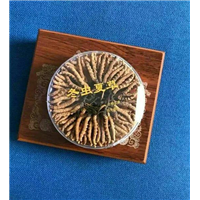 柳州虫草回收电话