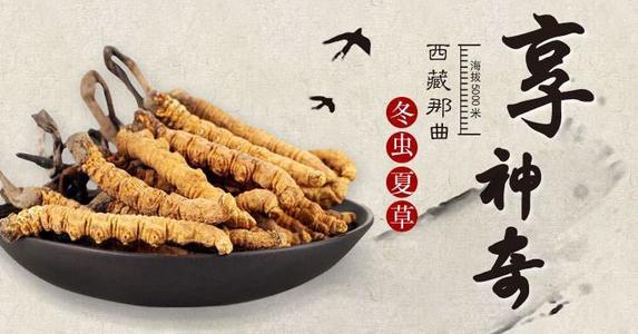 柳州虫草回收公司