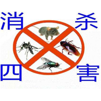 杭州灭鼠公司 