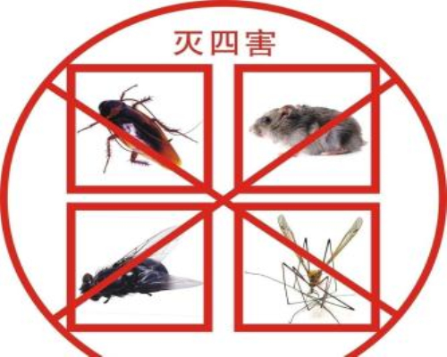杭州灭鼠电话 