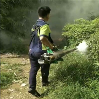 杭州专业灭白蚁 