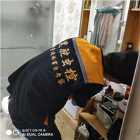 杭州专业灭老鼠 