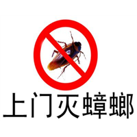杭州灭蟑螂服务 