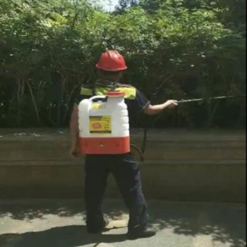 杭州专业灭老鼠灭白蚁 
