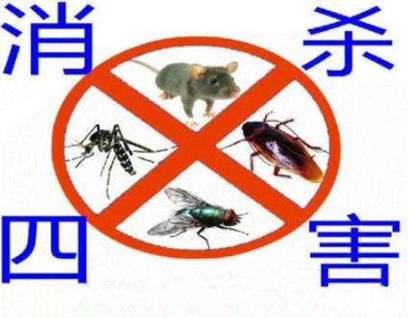 杭州灭鼠公司 