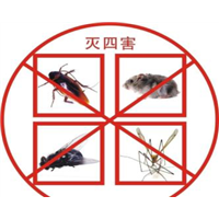 杭州灭鼠电话 