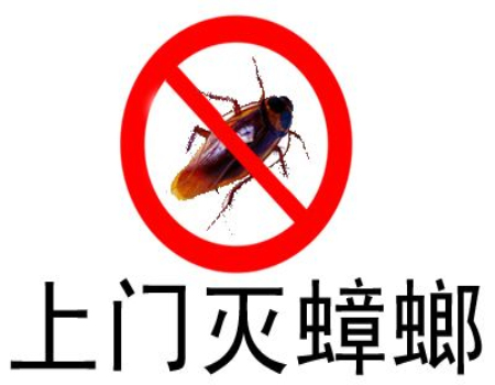 杭州灭蟑螂服务 