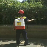 杭州专业灭老鼠灭白蚁 
