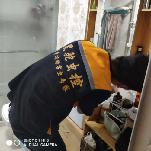 杭州专业灭老鼠 