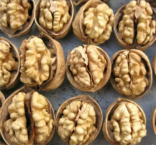 香玲核桃