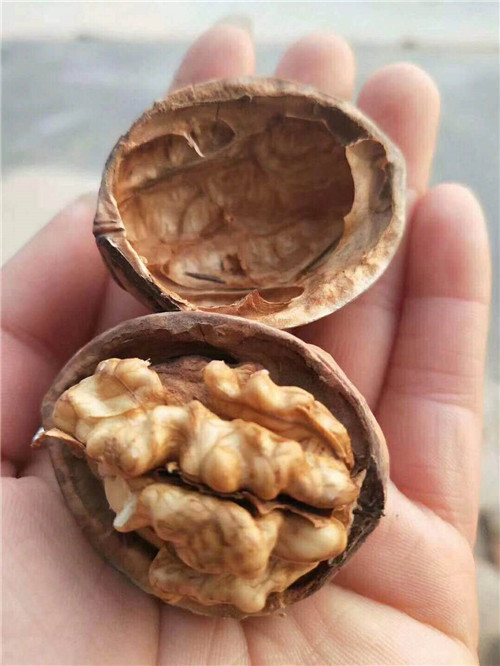 香玲核桃