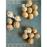 香玲核桃
