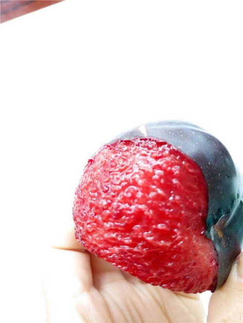 山东风味玫瑰李子