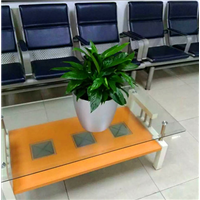 广州绿植租摆 ---一帆风顺 