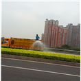 广州公路绿化养护 