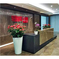 广州绿植租赁/花卉租赁/盆栽租赁 