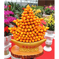 五代同堂 /广州年宵花租售/年花零售送货 