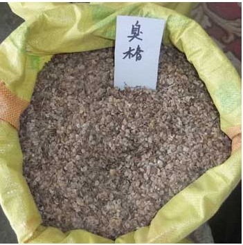 江西臭椿种子/江西臭椿种子价格/江西臭椿种子 
