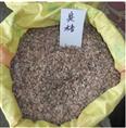 江西臭椿种子/江西臭椿种子价格/江西臭椿种子 