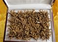 太原回收茅台，太原茅台回收，太原回收五粮液 