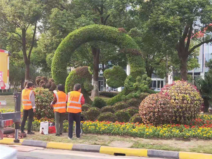 草花造型设计 