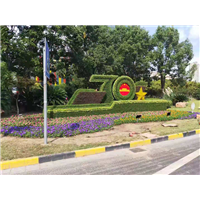 山东草花造型 