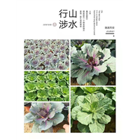 山东羽衣甘蓝 