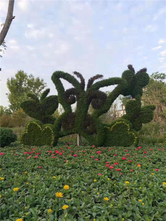 山东草花造型 