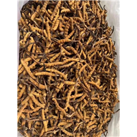 开封酒回收电话