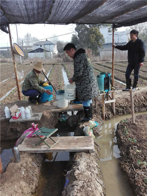 草莓种植技术培训基地