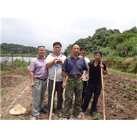 草莓种植技术培训基地
