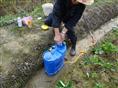 幼苗培养草莓种植技术、草莓种植培训、草莓种植时间、草莓种植、草莓的种植方法、如何种植草莓、大棚草莓种植、草莓育苗、草莓育苗技术、草莓育苗方法、草莓养殖技术 、草莓栽培养护、盆栽草莓养护技术、草莓养殖方法、牛奶草莓、牛奶草莓种植、草莓树、草莓 