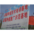草莓广告牌 