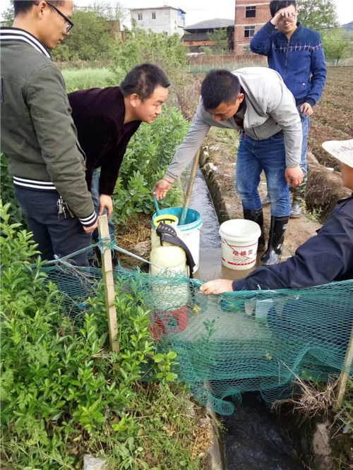 草莓种植技术培训基地