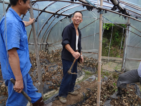 草莓基地 